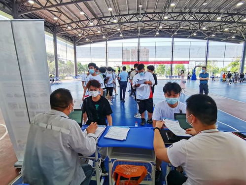 疫情影響下蔡甸職校生 從校門到廠門無縫對接，職業(yè)中介服務(wù)助力就業(yè)關(guān)