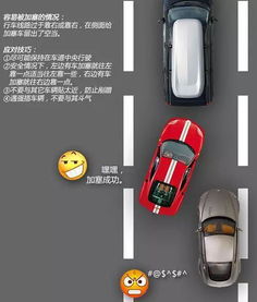 駕駛有道 掌握技巧，巧妙應(yīng)對加塞；養(yǎng)護有方 機動車維修與維護全攻略